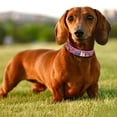 thumbnail image 2 of Boho Style Dog Collar with Custom Engraved Lost Letter Multicolored Printed Pet Accessory for Safe Walks, 2 of 4