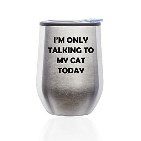 

Stemless Wine Tumbler Coffee Travel Mug Glass with Lid I m Only Talking To My Cat Today Funny (Silver)