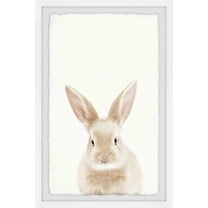 Marmont Hill Rabbit Close-Up Framed Wall Art, 16.00" x 1.50"