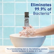Softsoap Antibacterial Hand Soap, Eliminates 99% of Bacteria, White Tea & Berry Scent, 11.25 fl oz