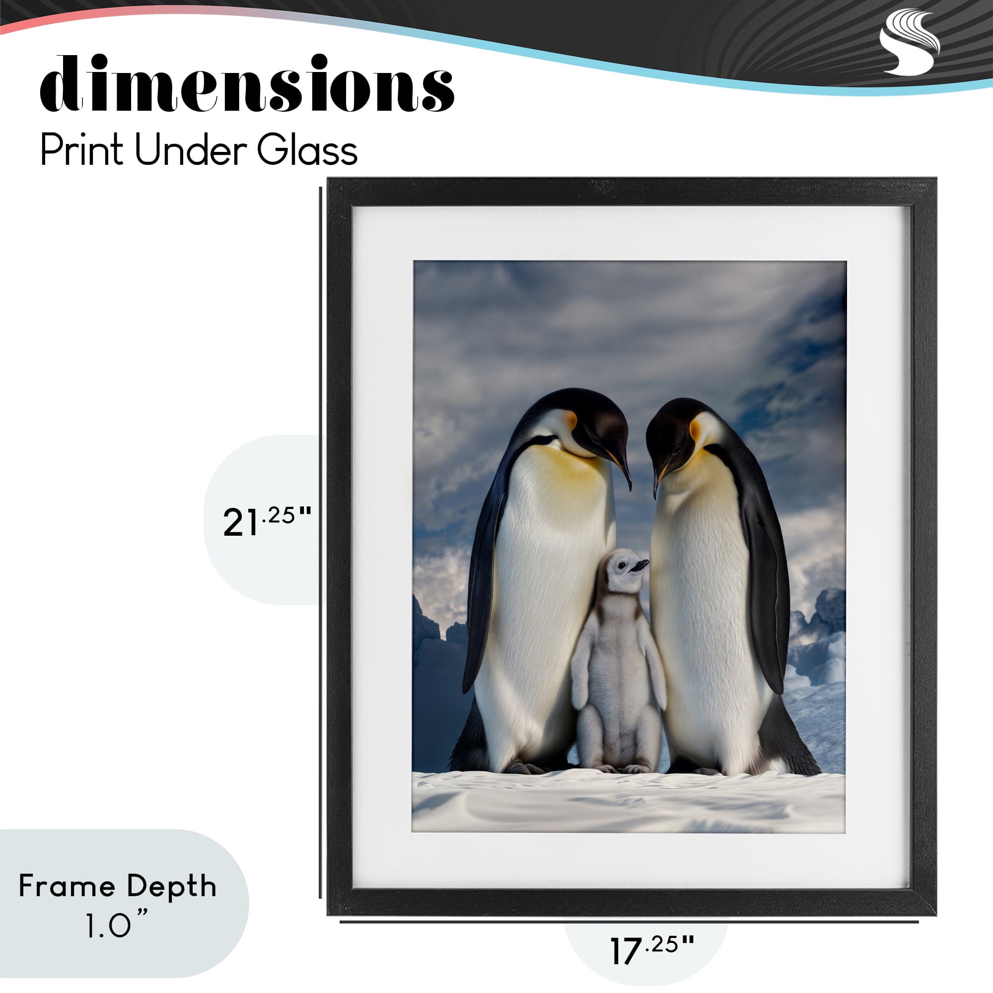 Stupell Industries Penguins In The Wild Black Framed Print Under Glass, design by Scott Stulberg