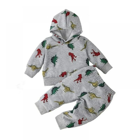 XBASW Newborn Baby Boys Dinosaur Sweatsuit Outfit Spring Fall Long Sleeve Hoodie Sweatshirt Sweatpants Printing Set 3M-3Y