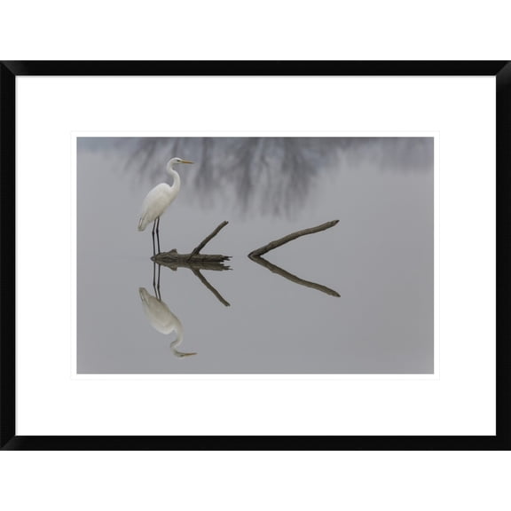 Global Gallery Mauro Montuori 'Reflections' Framed Wall Art