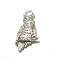 thumbnail image 1 of Pendentif Hibou, 1 of 1