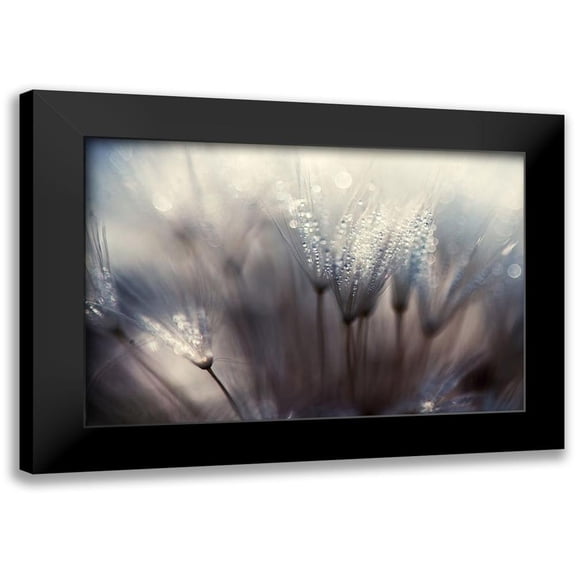 Dam, Thomas 14x11 Black Modern Framed Museum Art Print Titled - The forest