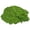D, variant on pdqouc Fake Green Moss for DIY Crafts, Realistic Fuzzy Moss for Miniature Scenes and Bonsai Pot Decor, Decorative Faux Moss for Table Centerpieces, Wedding Party, and Garden Floral Arrangements