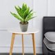 thumbnail image 3 of Hojas artificiales, simulación de plantas verdes, plantas en macetas, decoración interior creativa, decoración de plantas artificiales., 3 of 5