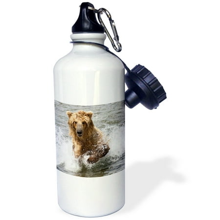 Alaska Cub Bear Knife 3dRose Brown (Grizzly) Bear cub chases Salmon in the Brooks River.Katmai National Park, Alaska, Sports Water Bottle, 21oz ()