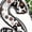 White, variant on Sassy Little Soul Leopard Print Tshirts Western Floral & Plaid Graphic Tees Casual Short Sleeve Tops Cotton Shirts for Daily Outfits White,S