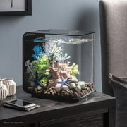 biOrb Flow 15 Aquarium with Standard Light - 4 Gallon, Black, Acrylic