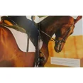 thumbnail image 3 of Caballos Razas Y Orígenes Lexus Editores Libro Ilustrado, 3 of 4
