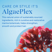 Aquage SeaExtend Silkening Shampoo Ultimate Color Care 33.8 Ounces