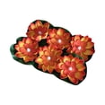 thumbnail image 2 of Home Decoration 6 Pcs Decoration Floating With Lights Plastic Flower Plastic Flower Artificial Traditional Indian Decor For Puja Home Party Decoration, 2 of 9
