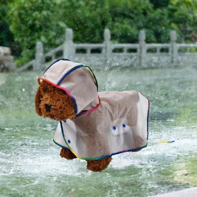 Chubasquero para perros Salvador Sudadera con capucha impermeable M