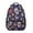 Skull and Rose-1, variant on Skull and Rose Gothic Pattern Backpack for School, Cute School Bag with Adjustable Shoulder Straps and Padded Back, 15.3"x11"x6.7"