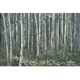 thumbnail image 2 of Parvez Taj "Magical Green Forest" Painting Print on Wrapped Canvas, 2 of 7