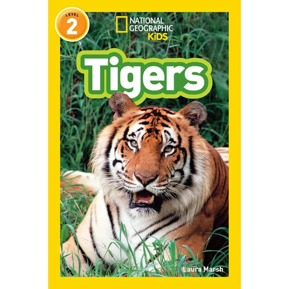Tigers (Paperback)