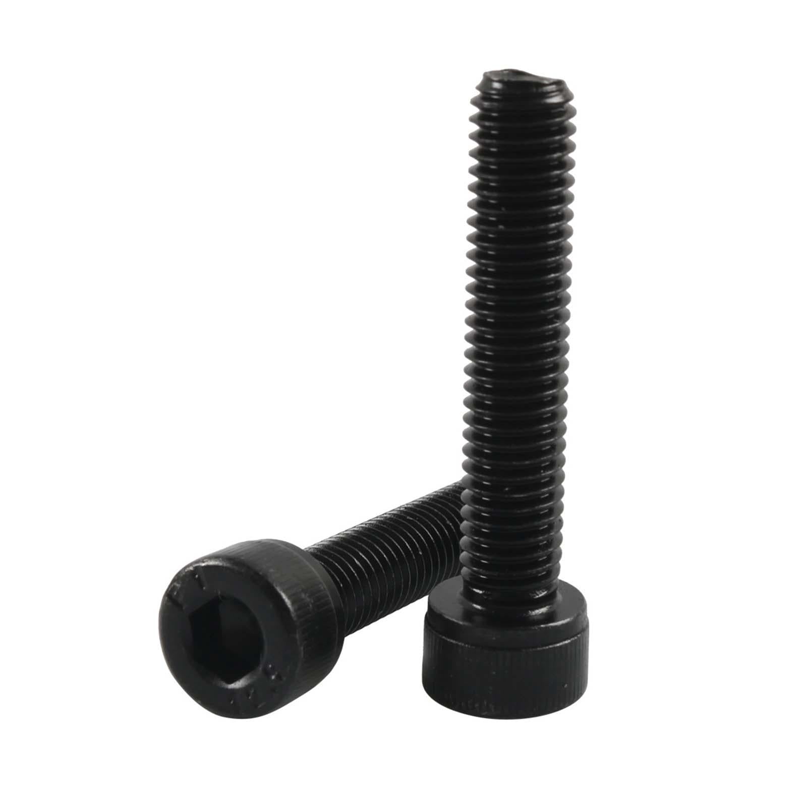 155x Sockets Cap Head Screws Bolt and Nut Set with Storage Box Machinery Hardware Furniture Hexagon Fasteners Metric Stainless Steel M6 M8