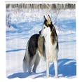 thumbnail image 3 of Ambesonne Alaskan Malamute Shower Curtain, Husky on Snow, 69"Wx84"L, Black White Pale Blue, 3 of 3