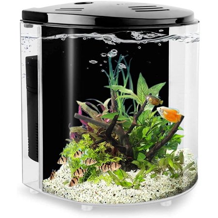 1 gallon betta tank with filter