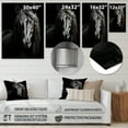 thumbnail image 4 of Designart "Vibrant Portrait Black White Horse" Animals Horse Metal Art Print, 4 of 5