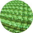 thumbnail image 1 of Ahgly Company Machine Washable Indoor Round Transitional Green Area Rugs, 6' Round, 1 of 7