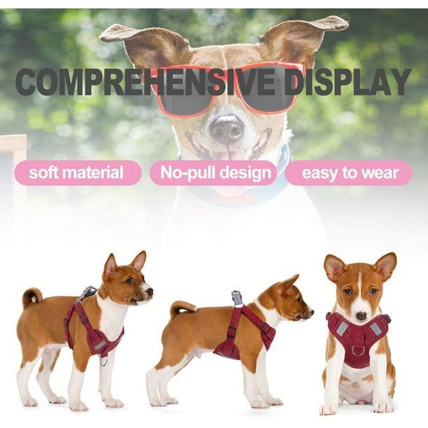 Chlua Dog Harness Dog Harness Small Breed Pet Harness With A Easy Control Leash Easy Walk Pet Harness And No Choke Vest Harness For Medium Or Small