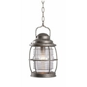 Kenroy Home Beacon Outdoor Hanging Lantern - 13H in. Flint