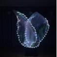 thumbnail image 1 of Bandera luminosa LED de tela blanca, luz blanca, botón de batería con interruptor, accesorios de baile, reloj, ropa de rendimiento, 1 of 5