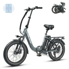 Rambo Rooster 500W E-Bike