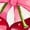 savings tops#03_Pink, variant on hxobax Pink Sweatshirt for Womens Fleece Pullover Tops Cute Cherry Bow Sweatshirts Jumper for Teens