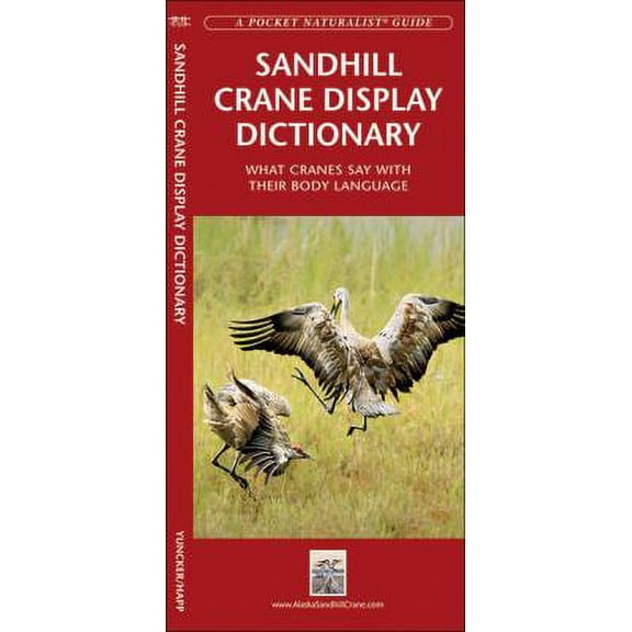 Louisiana Trees & Wildflowers: An Introduction to Familiar Species