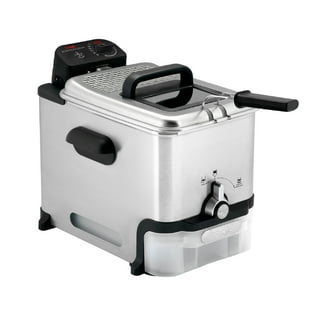 Deep Fryer Electric Deep Fryer with Basket and Drip Hook 2.6Qt Oil Capacity  Fish