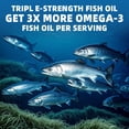 thumbnail image 4 of Fish Oil 1200mg Softgels - Omega 3 Fish Oil Supplements with Vitamin D3 - 120 Capsules (2 Pack), 4 of 6