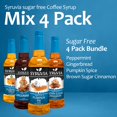 thumbnail image 2 of Syruvia Sugar-Free Holiday Variety Pack Pumpkin Pie, Gingerbread, Pumpkin Spice & Brown Sugar Cinnamon Coffee Syrup (4-Pack), 2 of 7