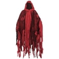 thumbnail image 2 of DHFJKG Unisex Adults Hooded Cloak Gothic Cape For Halloween Party, Distressed Ripped Spooky Season Poncho, 2 of 3