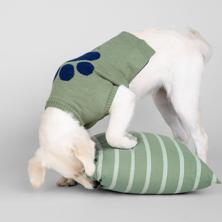 Wag and bone dog cheap clothes