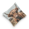thumbnail image 5 of Ryvnso A Highland Cow Throw Pillow Covers Couch Pillowcases Decor for Bed Sofa 18" x 18", 5 of 7