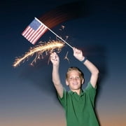 Exquisite #10 Party Sparklers, 72 Count, Wedding Sparklers