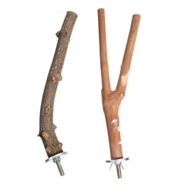 Perchoir Pour Oiseaux Avec Ventouse - Support Réglable - Pour Perruches, Perroquets - Bois Naturel