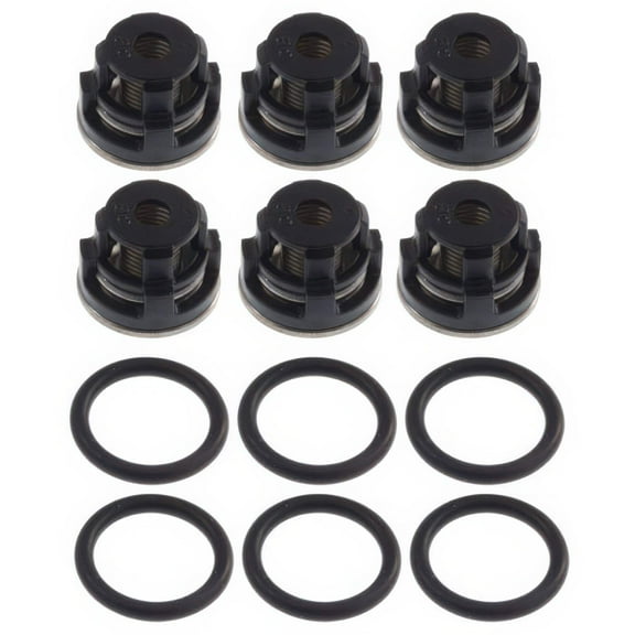 Annovi Reverberi Pump Kit, Valve RCW