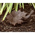 thumbnail image 3 of Esschert Design FB152 Cast Iron Birdbath, Small, 3 of 6