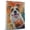 American Bulldog, variant on Wire Fox Terrier Dog Stretched Canvas Size 8x12 – American Football Canvas Print of Funny Wire Fox Terrier Dog Wall Art, American Football Sports Wall Decor, Dog Lover