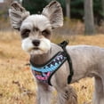 thumbnail image 3 of Didog Step-in Breathable Mesh Pet Puppy Dog Harness Reflective Escape Proof Cat Walking Vest Adjustable for Small Medium Dogs Blue/Hot Pink/White, 3 of 6