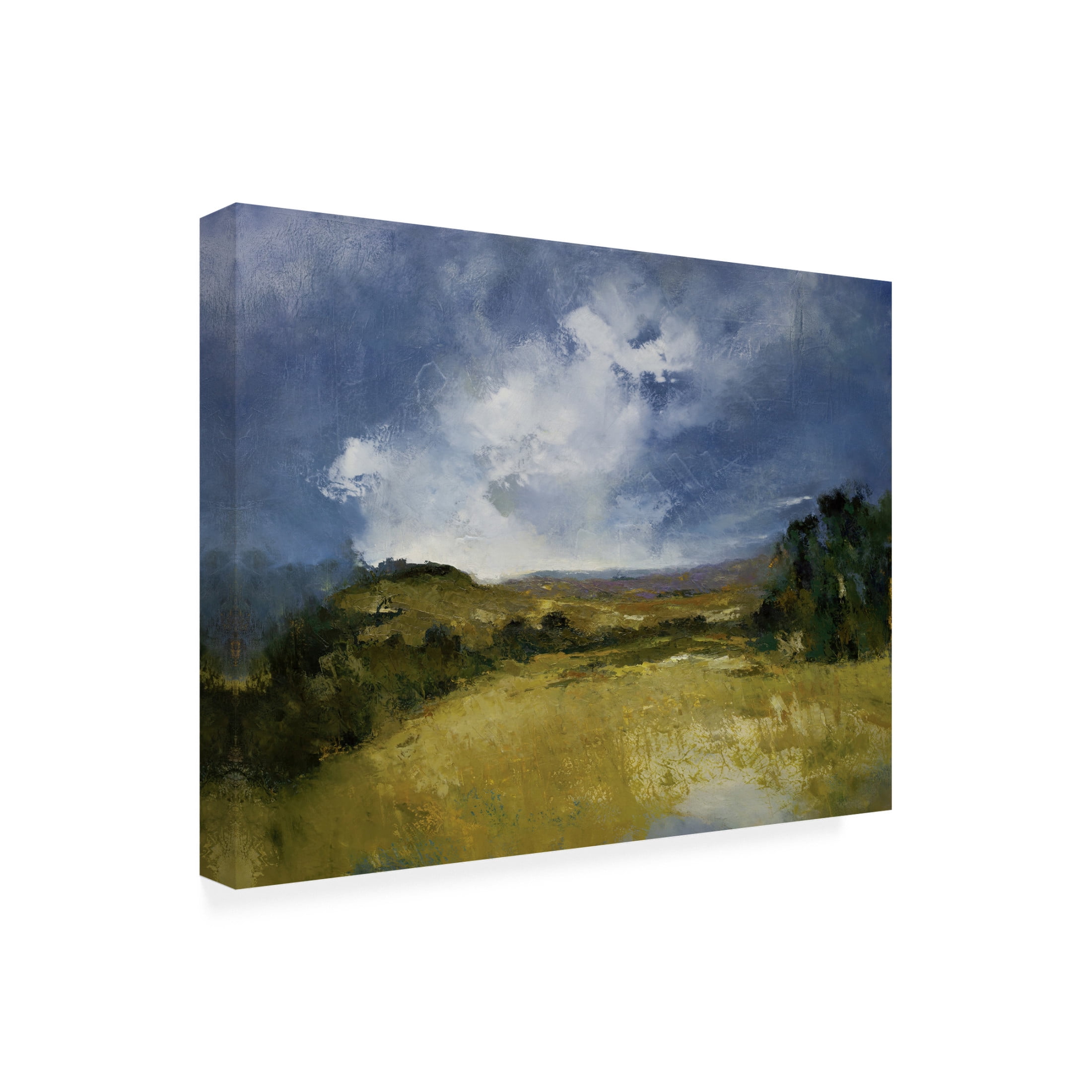 Canvas Wall Art - Patrick Dennis 'Ferrer' Wall Art for Living Room, Bedroom, or Office Décor by Trademark Fine Art - 47 x 35 Inches