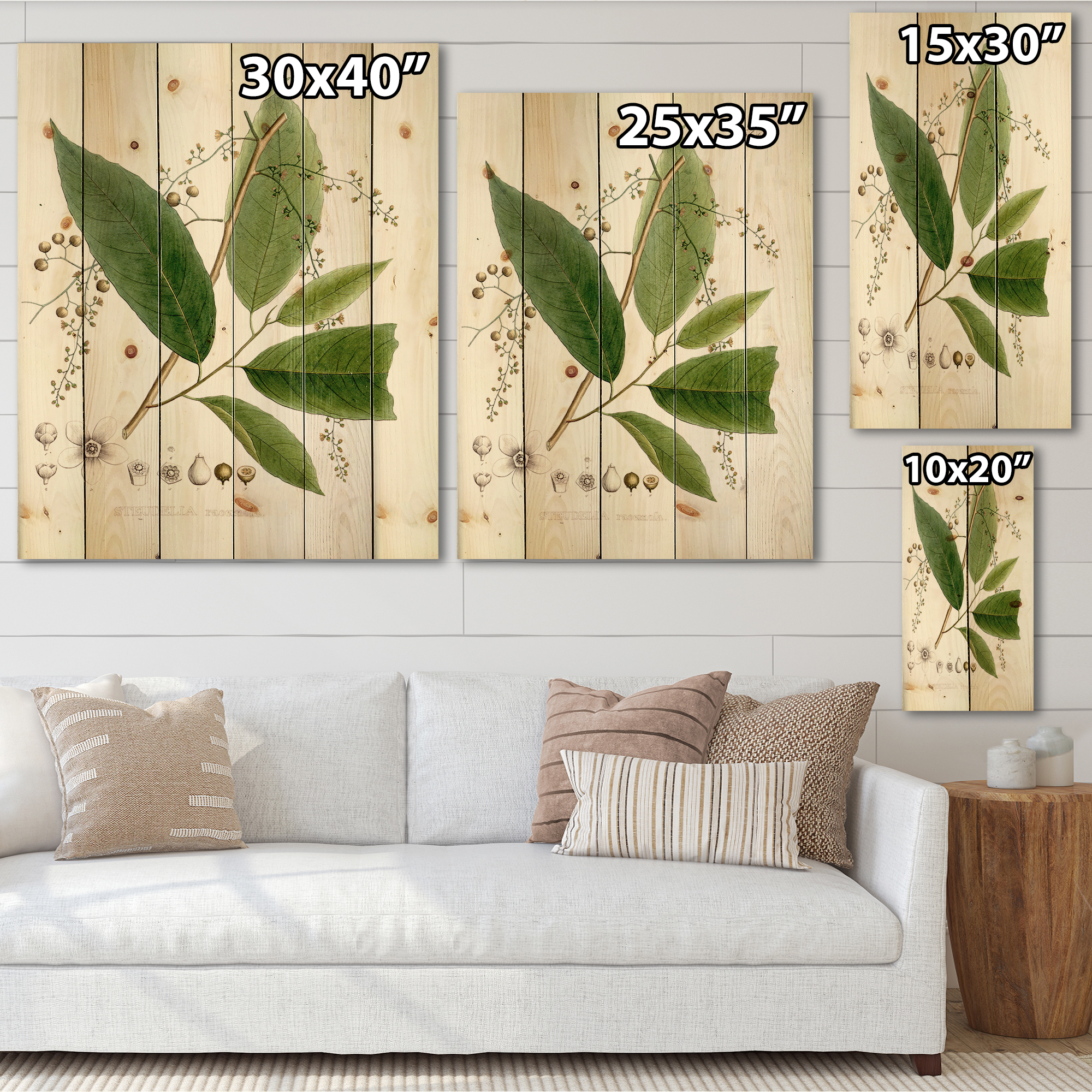 Designart 'Ancient Brazilian Plant I' Traditional Print on Natural Pine Wood