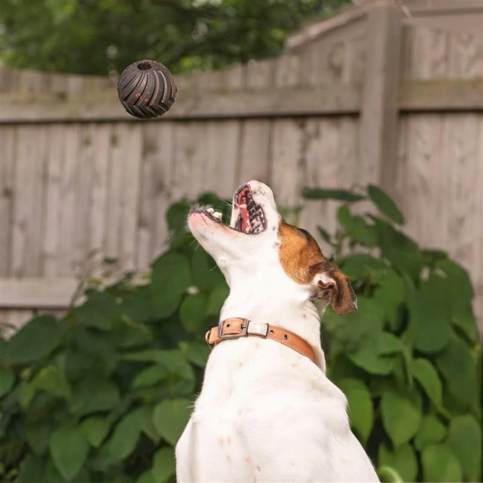 Mammoth Supreme Fetch Ball for Dogs, Large, 4 in, Durable Design