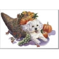 thumbnail image 1 of Rainbow Card Company Puppy Post Cards -25 Pack Bounty, 1 of 1
