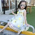 thumbnail image 4 of Lindreshi Baby Girl Dresses Summer Baby Girls Kids Flower Princess Dress Pageant Wedding Party Evening Dress, 4 of 8