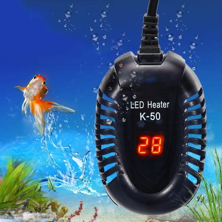 Stunning Electric Heaters For Aquariums With Red Eared Sliders image